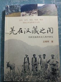 羌在汉藏之间：川西羌族的历史人类学研究