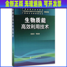 生物质能高效利用技术