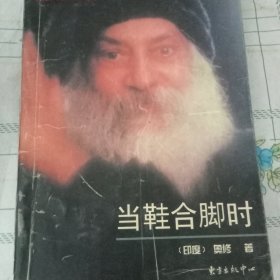 当鞋合脚时：奥修人生箴言系列