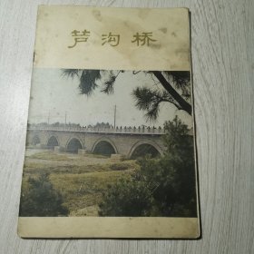 革命文物丛书 芦沟桥