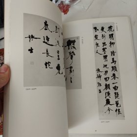 张裕钊·宫岛咏士师弟书法展览图录