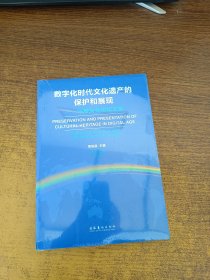 数字化时代文化遗产的保护和展现：中美文化论坛文集