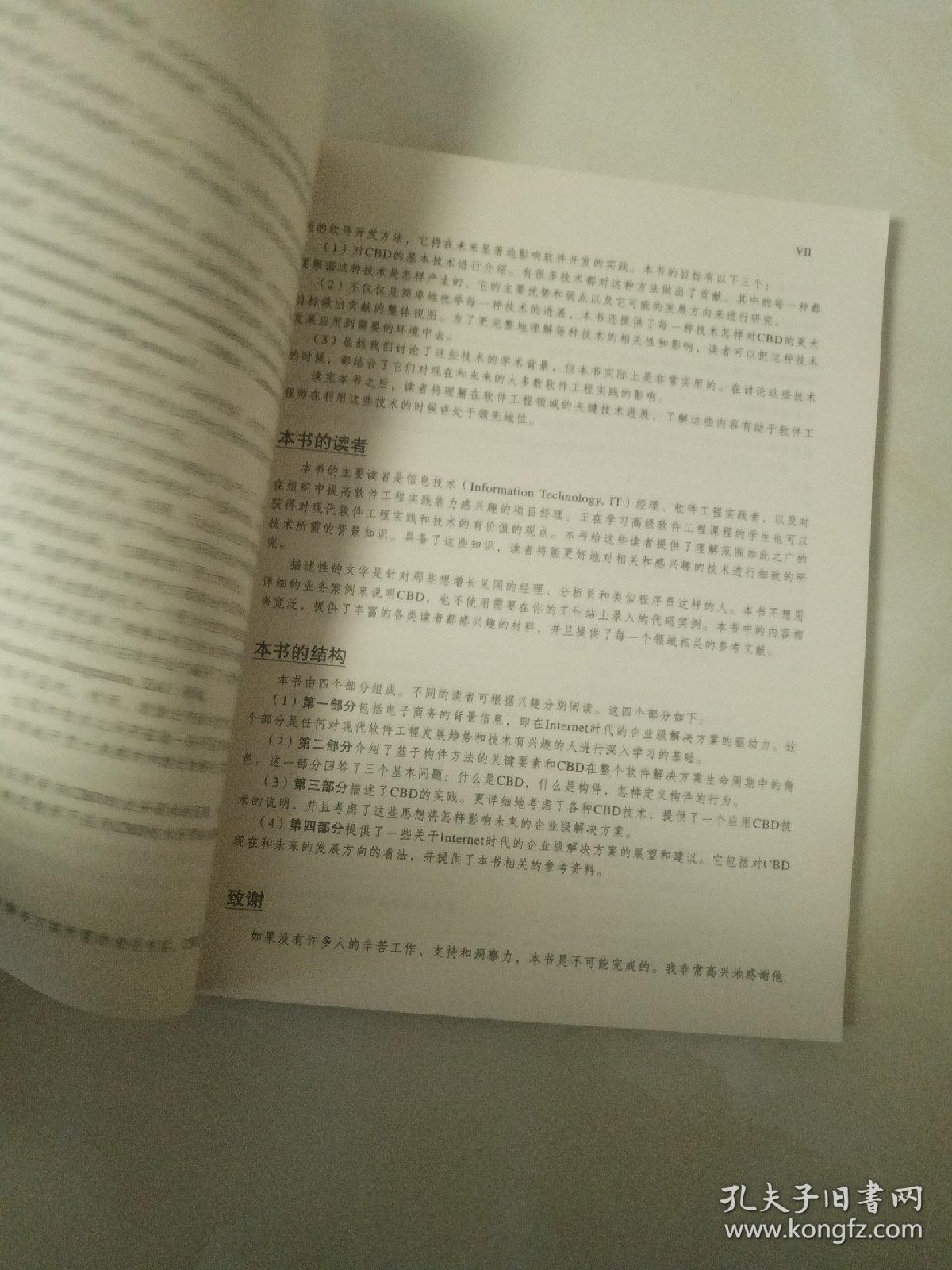 大规模基于构件的软件开发