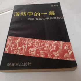 浩劫中的一幕-武汉七二0事件亲历记