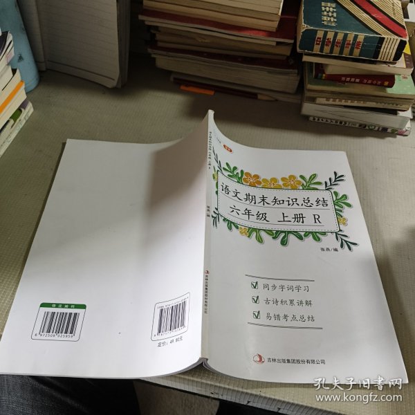 新版语文期末知识总结六年级上册期末总复习冲刺100分同步字词学习古诗积累讲解易错考点总结