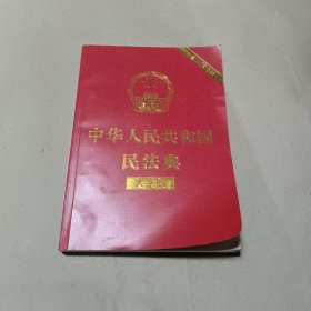 中华人民共和国民法典 大字版