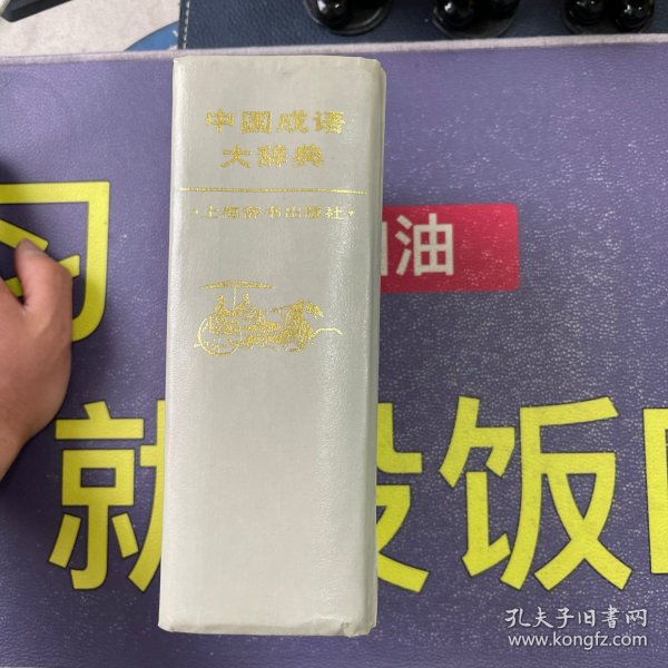 中国成语大辞典