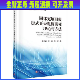 固体充填回收房式开采遗留煤柱理论与方法