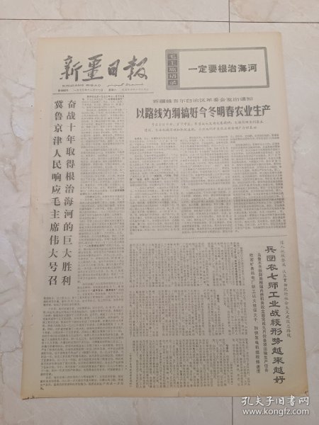 新疆日报1973年11月17日。新疆维吾尔自治区革委会发出通知，以路线为纲搞好今冬明春农业生产。一定要根治海河。当代愚公战海河。