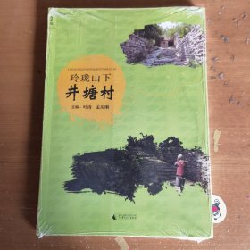 玲珑山下井塘村