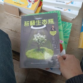 苔藓生态瓶