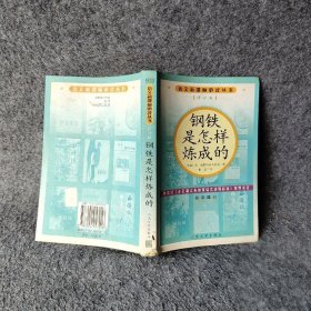 钢铁是怎样炼成的普通图书/综合性图书9787020057016