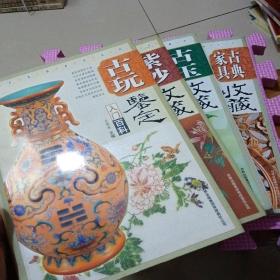 收藏入门百科系列:紫砂收藏、古玉收藏、古典家具收藏、古玩鉴定（4册合售）