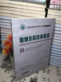精细分层注水技术