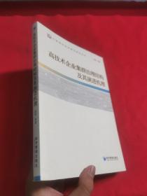 高技术企业集群治理结构及其演进机理