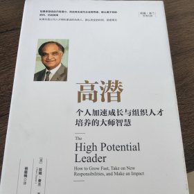 高潜：个人加速成长与组织人才培养的大师智慧