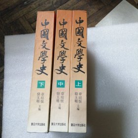 中国文学史 上中下 精装