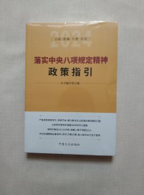 落实中央八项规定精神政策指引