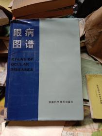 眼病图谱