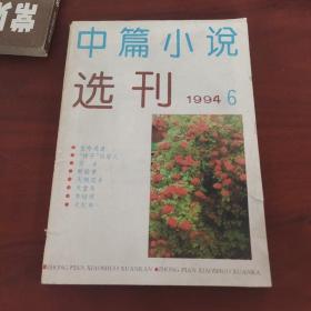 《中篇小说选刊》1994.6