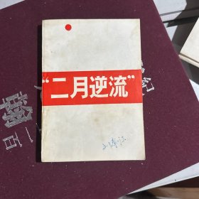 二月逆流——中国：1967年纪事