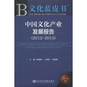 中文化业发展报告(20~013)