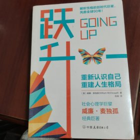 跃升：划时代的性格解析巨著，重建人生格局，帮你实现人生的超越！