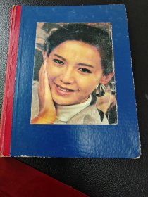 日记本，写的大部分是歌曲