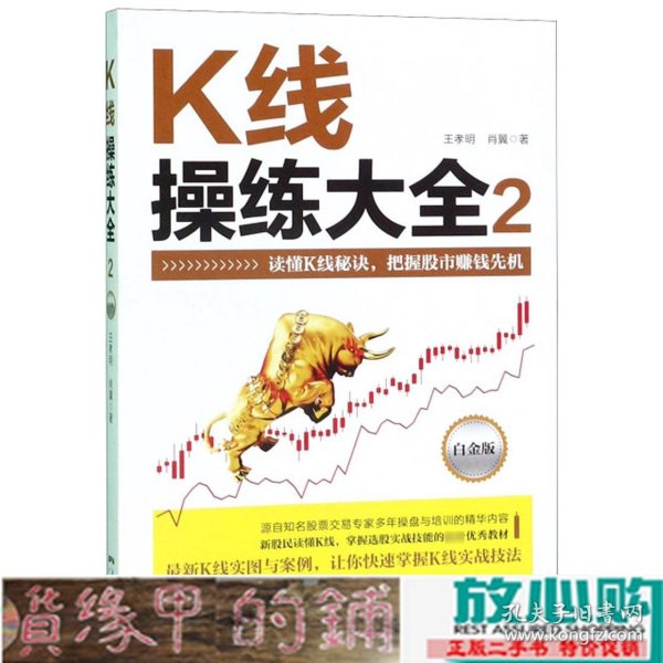 K线操练大全2(白金版)