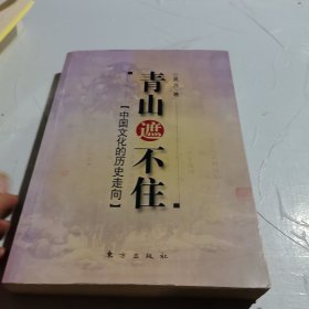 青山遮不住 中国文化的历史走向
