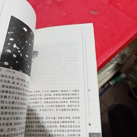 美丑缘