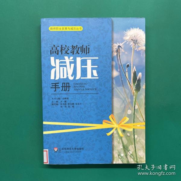 教师职业发展与减压丛书：高校教师减压手册