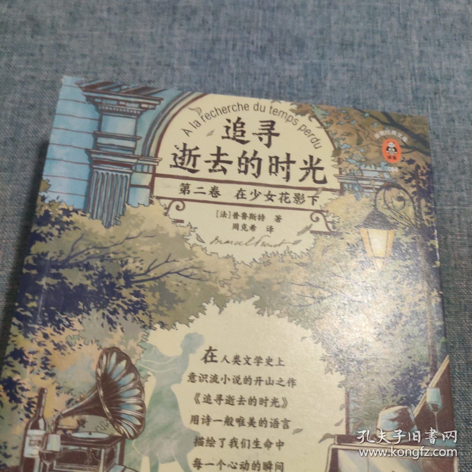 追寻逝去的时光第二卷