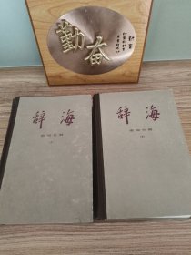 辞海语词分册（上下）