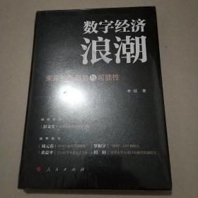 数字经济浪潮——未来的新趋势与可能性