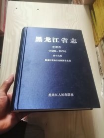 黑龙江省志：艺术志1986－2005 精装 大16开 品佳 未翻阅过