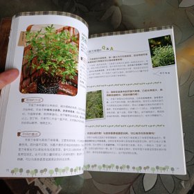 种香草、玩香草一次搞定