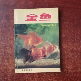 金鱼