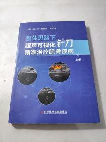 整体思路下超声可视化针刀精准治疗肌骨疾病（上册）