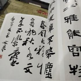 中国画院名家系列丛书:青岛画院专辑:宋文京(正版)（D177）