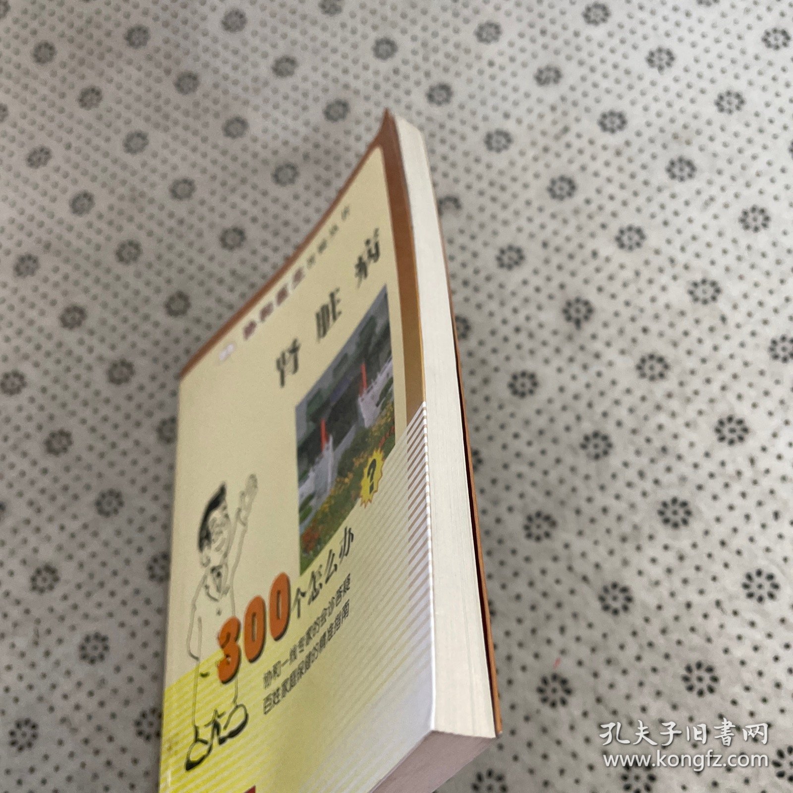 肾脏病300个怎么办