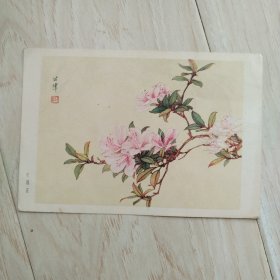 卡片：杜鹃花