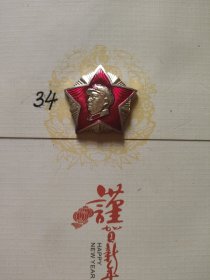 五星像章