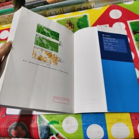 城市遥感:城市环境监测集成与建模
