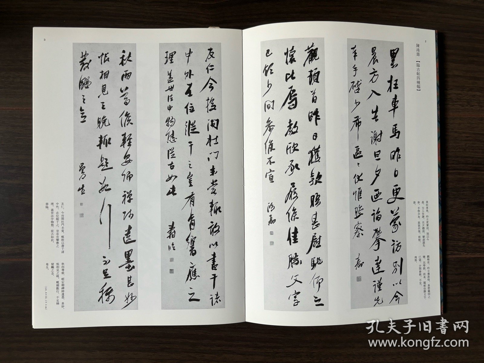 条幅名品选 陈鸿寿 杨岘 二玄社