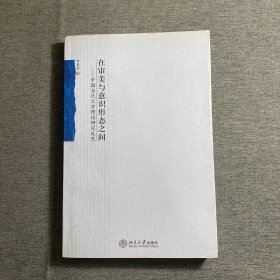 在审美与意识形态之间：中国当代文学理论研究反思