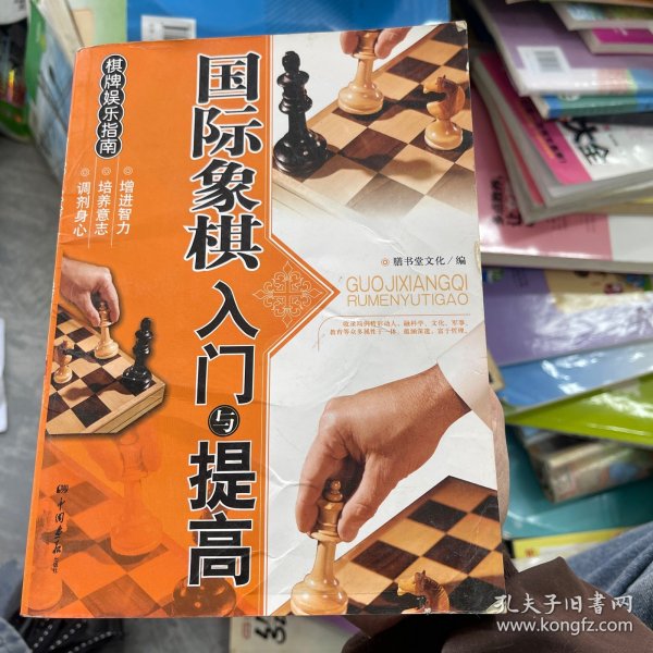 棋牌娱乐指南：国际象棋入门与提高