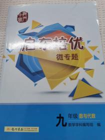 启东系列：启东培优微专题 九年级数与代数