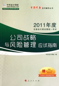 2012年度注册会计师全国统一考试：公司战略与风险管理（应试指南）