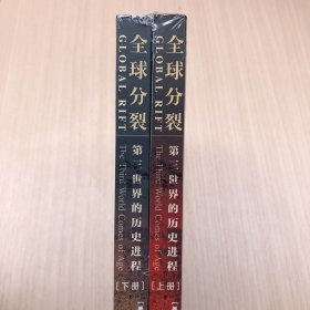 全球分裂：第三世界的历史进程（上下册）